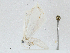  ( - CBG-A02912-G11)  @11 [ ] CreativeCommons - Attribution (2023) CBG Photography Group Centre for Biodiversity Genomics