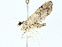  ( - BIOUG80113-A09)  @11 [ ] CreativeCommons - Attribution (2022) CBG Photography Group Centre for Biodiversity Genomics