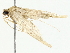 ( - BIOUG80113-B01)  @11 [ ] CreativeCommons - Attribution (2022) CBG Photography Group Centre for Biodiversity Genomics