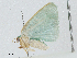  ( - CBG-A00365-C12)  @11 [ ] CreativeCommons - Attribution (2023) CBG Photography Group Centre for Biodiversity Genomics
