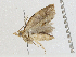  ( - CBG-A00365-D02)  @11 [ ] CreativeCommons - Attribution (2023) CBG Photography Group Centre for Biodiversity Genomics