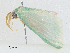  ( - CBG-A00365-D03)  @11 [ ] CreativeCommons - Attribution (2023) CBG Photography Group Centre for Biodiversity Genomics