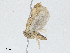  ( - CBG-A01177-G08)  @11 [ ] CreativeCommons - Attribution (2023) CBG Photography Group Centre for Biodiversity Genomics