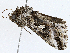  ( - CBG-A01178-B04)  @11 [ ] CreativeCommons - Attribution (2023) CBG Photography Group Centre for Biodiversity Genomics