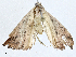  ( - CBG-A01199-B05)  @11 [ ] CreativeCommons - Attribution (2023) CBG Photography Group Centre for Biodiversity Genomics