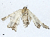  ( - CBG-A01199-B06)  @11 [ ] CreativeCommons - Attribution (2023) CBG Photography Group Centre for Biodiversity Genomics