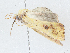  ( - CBG-A04531-B11)  @11 [ ] CreativeCommons - Attribution (2023) CBG Photography Group Centre for Biodiversity Genomics