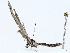  ( - CBG-A02861-E10)  @11 [ ] CreativeCommons - Attribution (2023) CBG Photography Group Centre for Biodiversity Genomics
