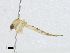  ( - CBG-A02912-E07)  @11 [ ] CreativeCommons - Attribution (2023) CBG Photography Group Centre for Biodiversity Genomics