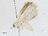  ( - CBG-A02912-G05)  @11 [ ] CreativeCommons - Attribution (2023) CBG Photography Group Centre for Biodiversity Genomics