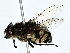  ( - BIOUG80721-F04)  @11 [ ] CreativeCommons - Attribution (2022) CBG Photography Group Centre for Biodiversity Genomics