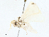  ( - CBG-A01178-H07)  @11 [ ] CreativeCommons - Attribution (2023) CBG Photography Group Centre for Biodiversity Genomics