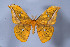  ( - KLWBC-077)  @13 [ ] Copyright (2010) Unspecified Research Collection of Kirby wolfe