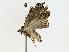  ( - BIOUG73635-B01)  @11 [ ] CreativeCommons - Attribution (2022) CBG Photography Group Centre for Biodiversity Genomics