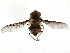  ( - BIOUG85487-H04)  @11 [ ] CreativeCommons - Attribution (2022) CBG Photography Group Centre for Biodiversity Genomics