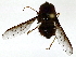  ( - BIOUG85487-H09)  @11 [ ] CreativeCommons - Attribution (2022) CBG Photography Group Centre for Biodiversity Genomics