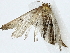  ( - BIOUG85488-C08)  @11 [ ] CreativeCommons - Attribution (2022) CBG Photography Group Centre for Biodiversity Genomics