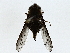  ( - BIOUG85488-D04)  @11 [ ] CreativeCommons - Attribution (2022) CBG Photography Group Centre for Biodiversity Genomics