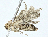  ( - BIOUG97786-G10)  @11 [ ] CreativeCommons - Attribution (2023) CBG Photography Group Centre for Biodiversity Genomics