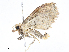  ( - CBG-A05396-H06)  @11 [ ] CreativeCommons - Attribution Share - Alike (2023) CBG Photography Group Centre for Biodiversity Genomics