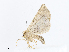  ( - CBG-A06243-B03)  @11 [ ] CreativeCommons - Attribution Share - Alike (2023) CBG Photography Group Centre for Biodiversity Genomics