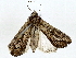  ( - BIOUG85487-D05)  @11 [ ] CreativeCommons - Attribution (2022) CBG Photography Group Centre for Biodiversity Genomics