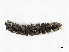  ( - CBG-A02901-H11)  @11 [ ] CreativeCommons - Attribution (2023) CBG Photography Group Centre for Biodiversity Genomics