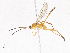  ( - CBG-A05396-G05)  @11 [ ] CreativeCommons - Attribution Share - Alike (2023) CBG Photography Group Centre for Biodiversity Genomics