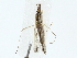  ( - BIOUG80126-C10)  @11 [ ] CreativeCommons - Attribution (2022) CBG Photography Group Centre for Biodiversity Genomics