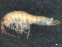  ( - CBG-A05382-H10)  @11 [ ] CreativeCommons - Attribution (2023) CBG Photography Group Centre for Biodiversity Genomics