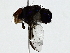  ( - BIOUG89973-G03)  @11 [ ] CreativeCommons - Attribution (2022) CBG Photography Group Centre for Biodiversity Genomics