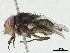  ( - BIOUG91391-H01)  @11 [ ] CreativeCommons - Attribution (2023) CBG Photography Group Centre for Biodiversity Genomics