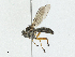 ( - BIOUG91391-H03)  @11 [ ] CreativeCommons - Attribution (2023) CBG Photography Group Centre for Biodiversity Genomics