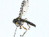  ( - BIOUG99479-C07)  @11 [ ] CreativeCommons - Attribution (2023) CBG Photography Group Centre for Biodiversity Genomics