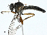  ( - BIOUG99479-C09)  @11 [ ] CreativeCommons - Attribution (2023) CBG Photography Group Centre for Biodiversity Genomics