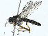  ( - BIOUG99479-C10)  @11 [ ] CreativeCommons - Attribution (2023) CBG Photography Group Centre for Biodiversity Genomics