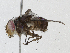  ( - CBG-A04538-A03)  @11 [ ] CreativeCommons - Attribution (2023) CBG Photography Group Centre for Biodiversity Genomics
