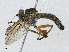  ( - CBG-A04538-A11)  @11 [ ] CreativeCommons - Attribution (2023) CBG Photography Group Centre for Biodiversity Genomics