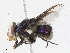  ( - CBG-A05417-A03)  @11 [ ] CreativeCommons - Attribution (2023) CBG Photography Group Centre for Biodiversity Genomics
