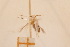  ( - BKR0364)  @12 [ ] Creative Commons  Attribution Non-Commercial Share-Alike (2016) Bruno Kistrup Rasmussen Unspecified