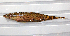  ( - MACNICT201365)  @11 [ ] Copyright (2014) E. Fernández MACN