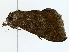  ( - BIOUG77748-B04)  @11 [ ] CreativeCommons - Attribution (2022) CBG Photography Group Centre for Biodiversity Genomics