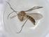  (Trichonta JKJ-Afr-spA - CBG-A03851-D07)  @11 [ ] CreativeCommons - Attribution (2023) Centre for Biodiversity Genomics Centre for Biodiversity Genomics