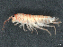  ( - CBG-A04509-H05)  @11 [ ] CreativeCommons - Attribution (2023) CBG Photography Group Centre for Biodiversity Genomics
