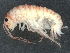  ( - CBG-A05380-G10)  @11 [ ] CreativeCommons - Attribution (2023) CBG Photography Group Centre for Biodiversity Genomics