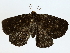 ( - BIOUG85239-E05)  @11 [ ] CreativeCommons - Attribution (2022) CBG Photography Group Centre for Biodiversity Genomics