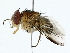  ( - BIOUG85240-D05)  @11 [ ] CreativeCommons - Attribution (2022) CBG Photography Group Centre for Biodiversity Genomics