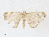  ( - CBG-A05381-C11)  @11 [ ] CreativeCommons - Attribution (2023) CBG Photography Group Centre for Biodiversity Genomics