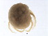 ( - 08PROBE-0995)  @13 [ ] CreativeCommons - Attribution (2008) Unspecified Centre for Biodiversity Genomics
