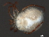  ( - CNC-IMS090044.034)  @11 [ ] CreativeCommons - Attribution (2010) Unspecified Centre for Biodiversity Genomics